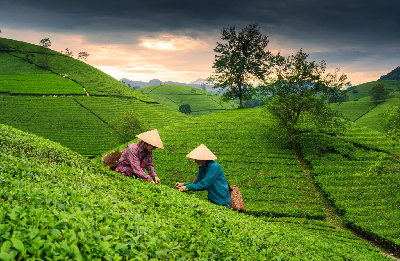 A group of people sitting around a table with a laptop.