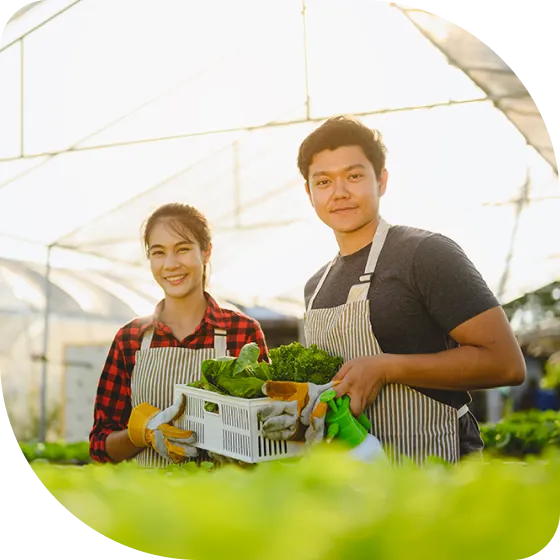 A man and a woman holding a basket of vegetables.