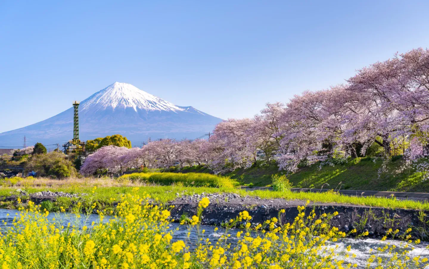 A mountain is in the distance with a river running through it.