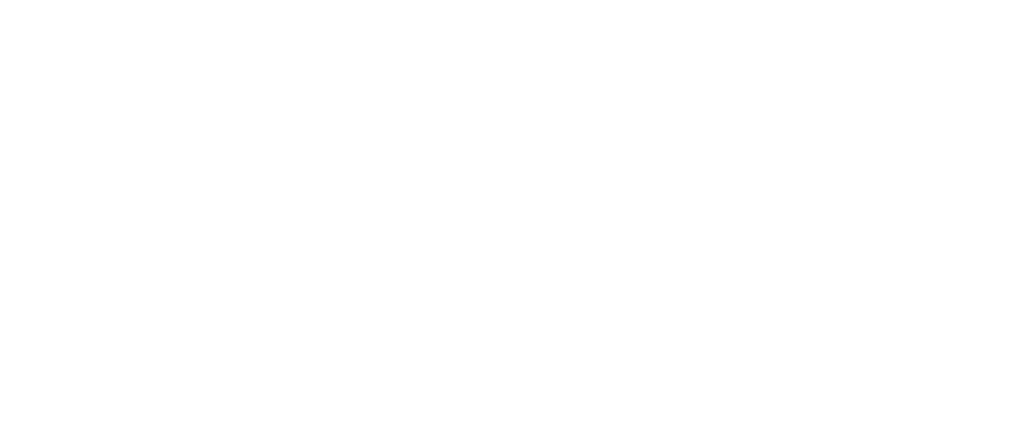 avpn_logo_johnson2-min