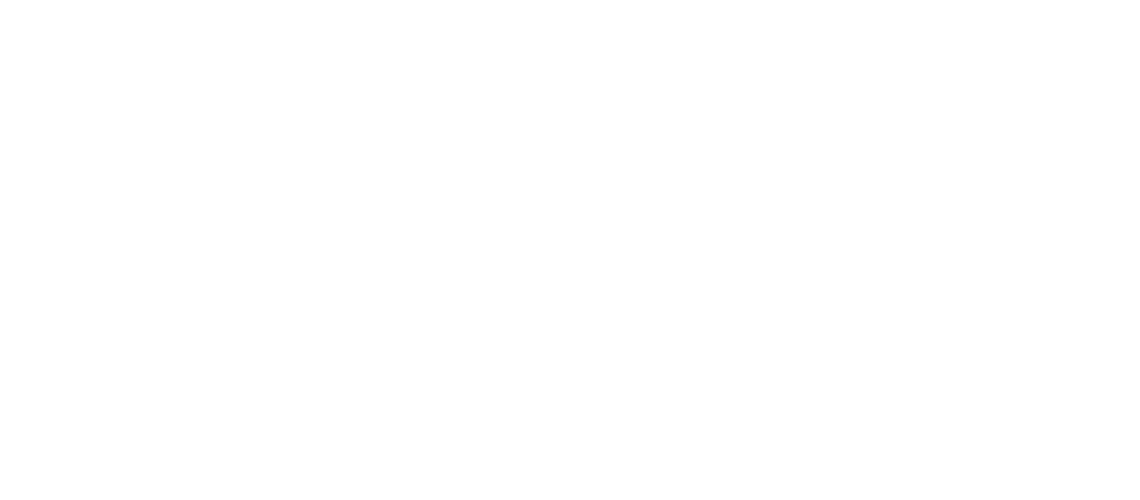 avpn_logo_nippon-min.png