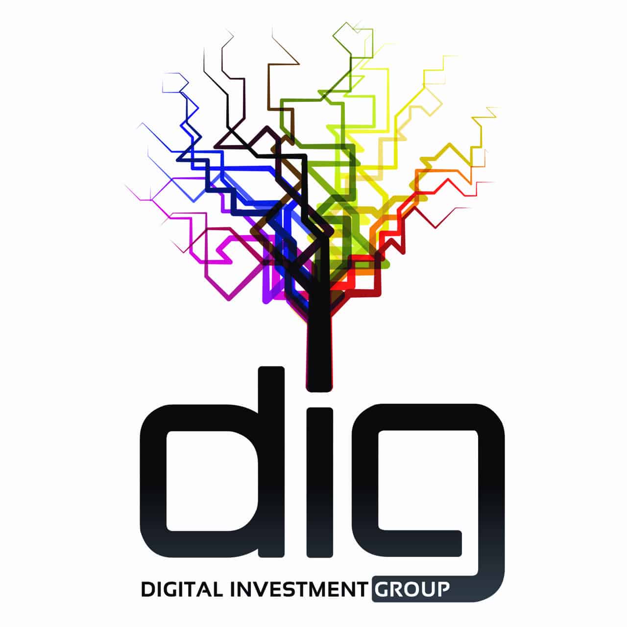 Digital Investment Group Ltd AVPN