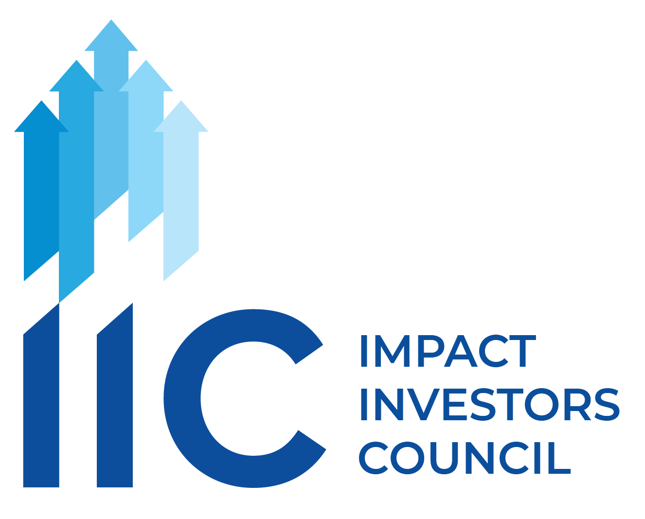 Blue IIC Logo